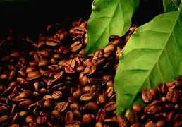 LOL电竞赛事->3?=o柉\淨#?T